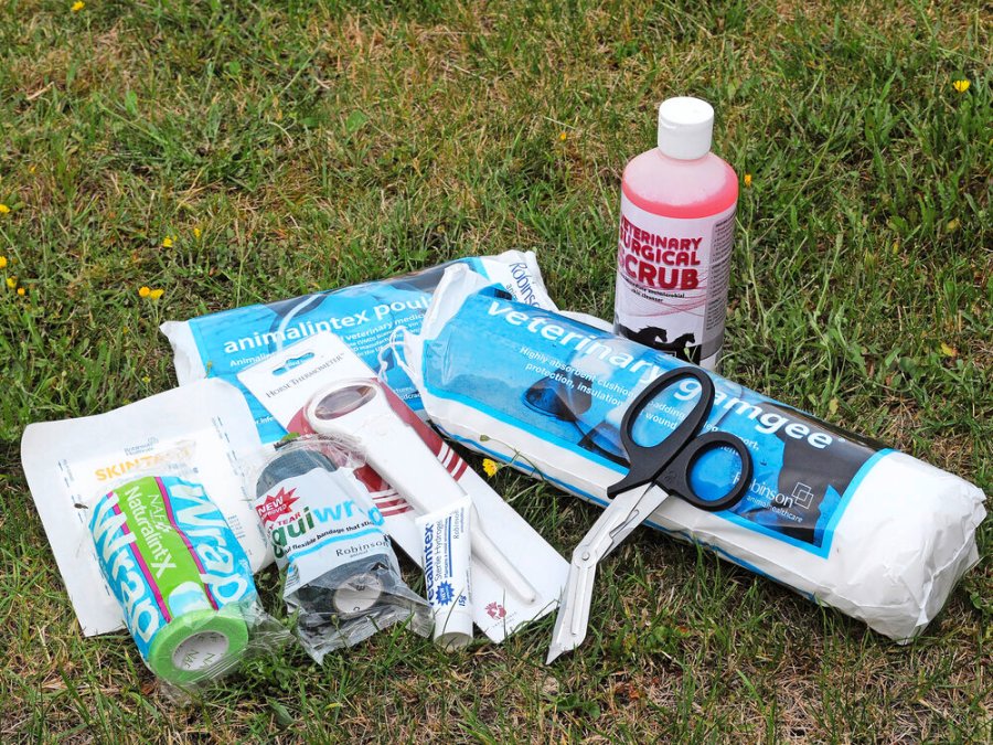 Pictured are useful horse health products to keep in an equine first aid kit