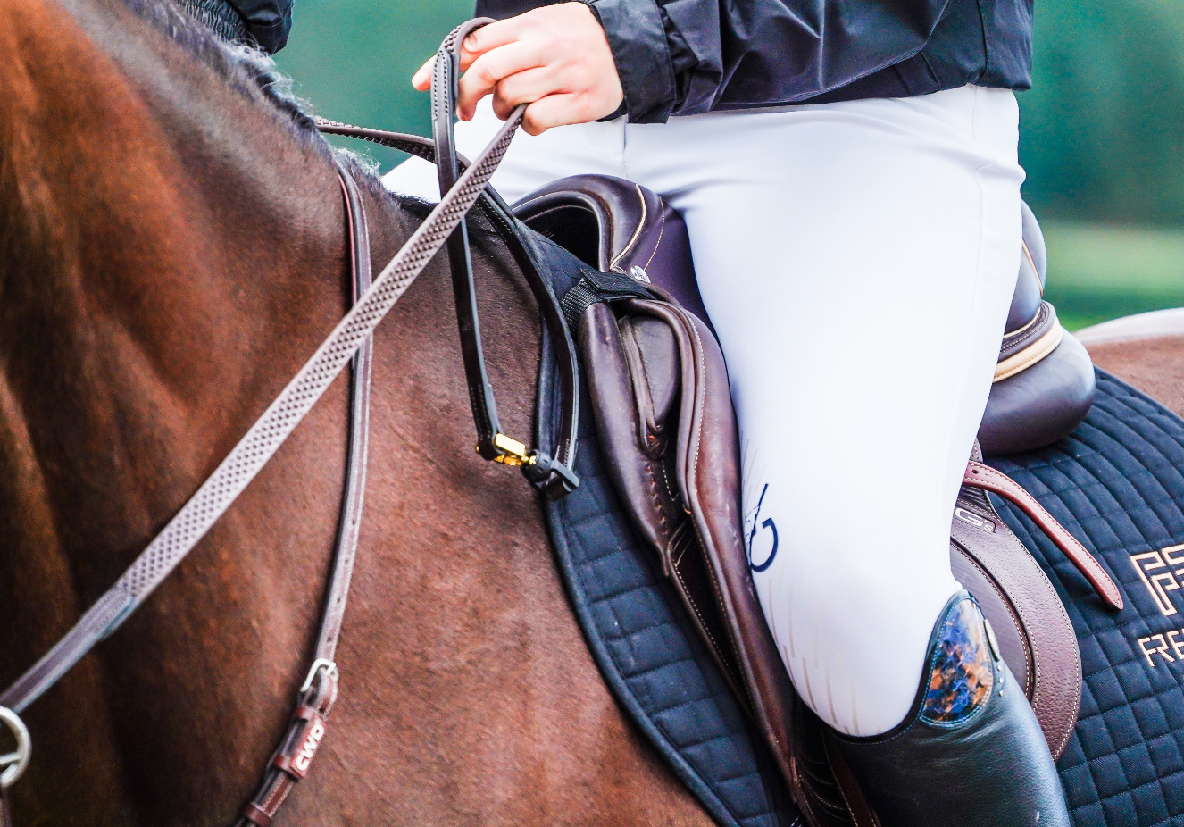 Revolutionary new safety rein with quickrelease connector is unveiled