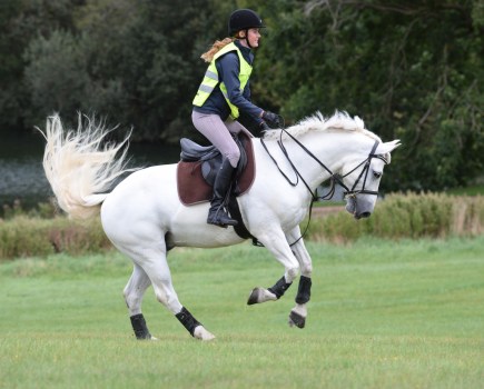 An excitable horse requires a diet with slow-release energy fed at the correct levels to suit the amount of work they are doing