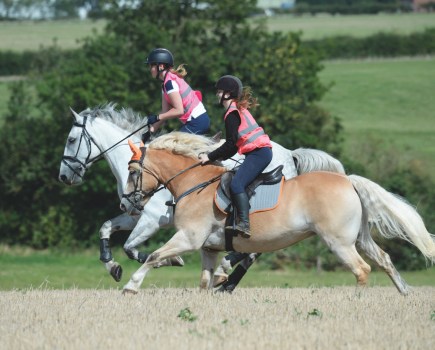 The intensity of exercise and how much you ride your horse are two influential factors in gastric ulcers