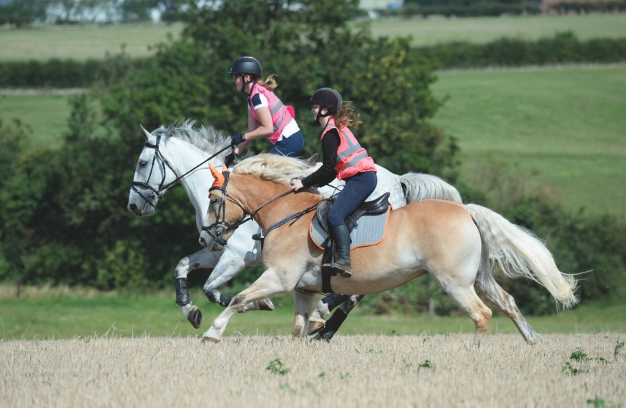 The intensity of exercise and how much you ride your horse are two influential factors in gastric ulcers