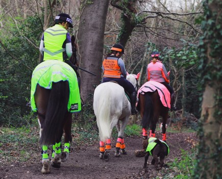 Autumn hacking with three riders wearing high vis