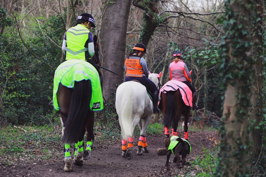 Autumn hacking with three riders wearing high vis