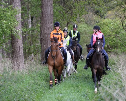 A group of riders each hacking on a horse. Trail riding has huge benefits for both horse and rider