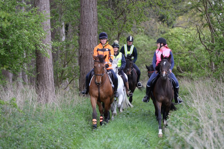A group of riders each hacking on a horse. Trail riding has huge benefits for both horse and rider