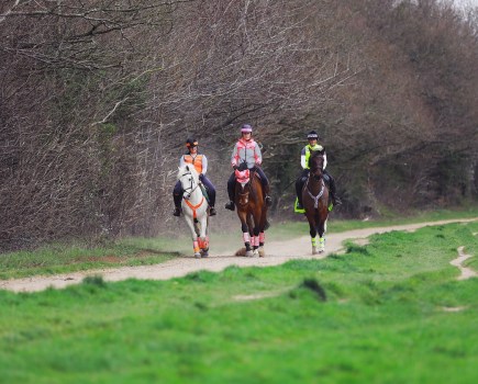 Horse hacking