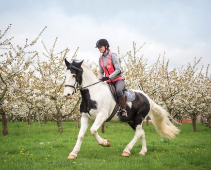 Pictured is a female rider hacking a horse wearing pink high vis and cantering along a field