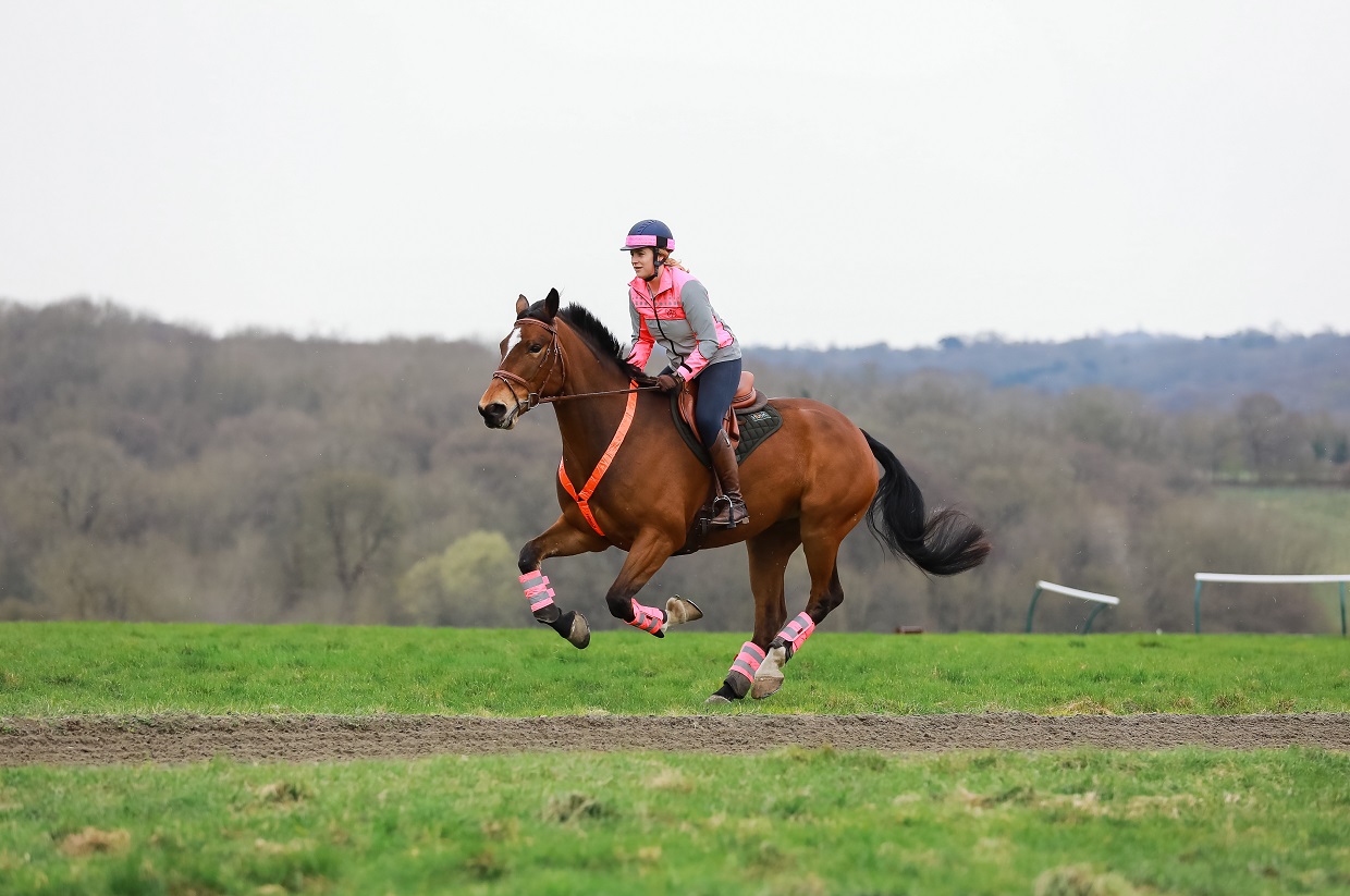 What makes the perfect hack? Here's what you voted... Your Horse