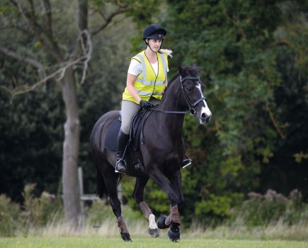 A stressed horse behaves differently and out of character compared to when they are happy and relaxed