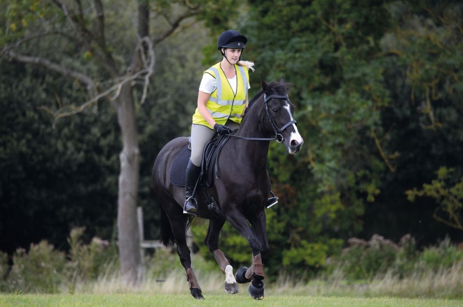 A stressed horse behaves differently and out of character compared to when they are happy and relaxed