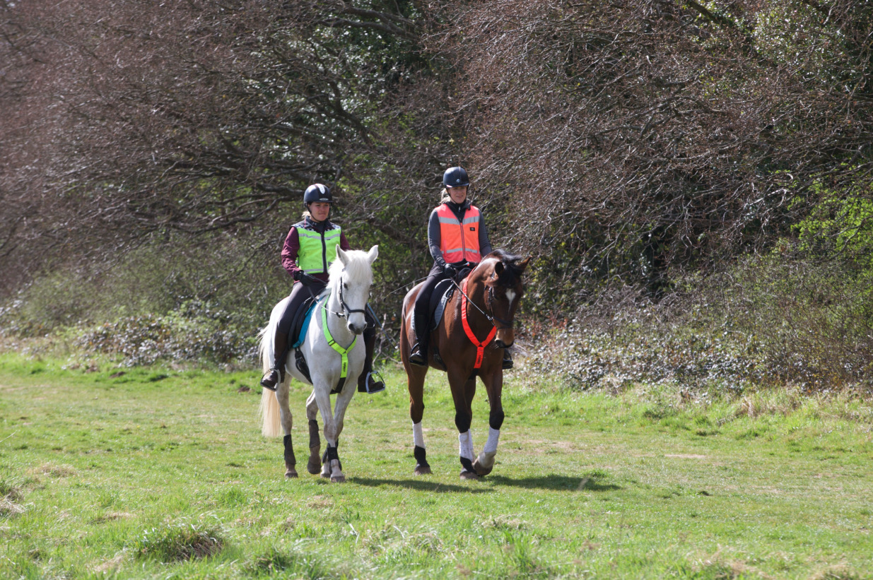 What to do if your horse goes lame on a hack Your Horse