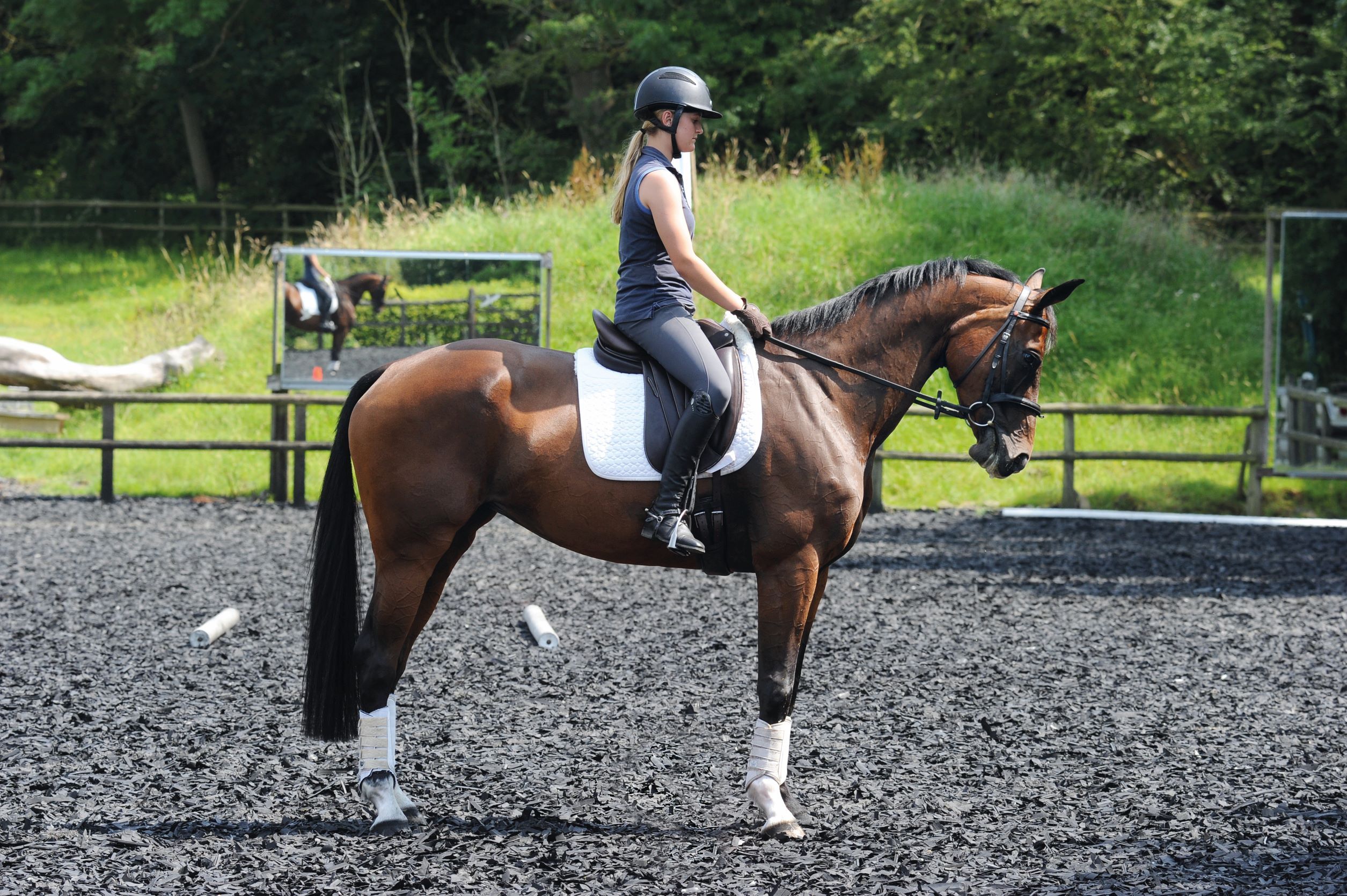 Four exercises to nail perfect square halts - Your Horse