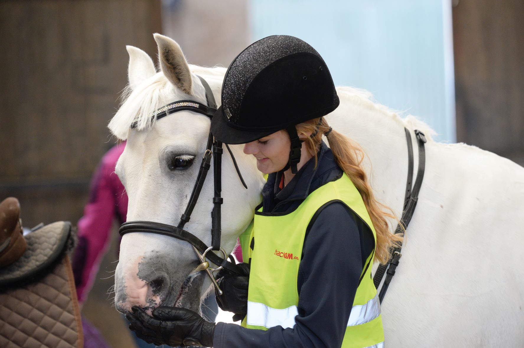 Buyer's guide to choosing the best riding hat to protect your head