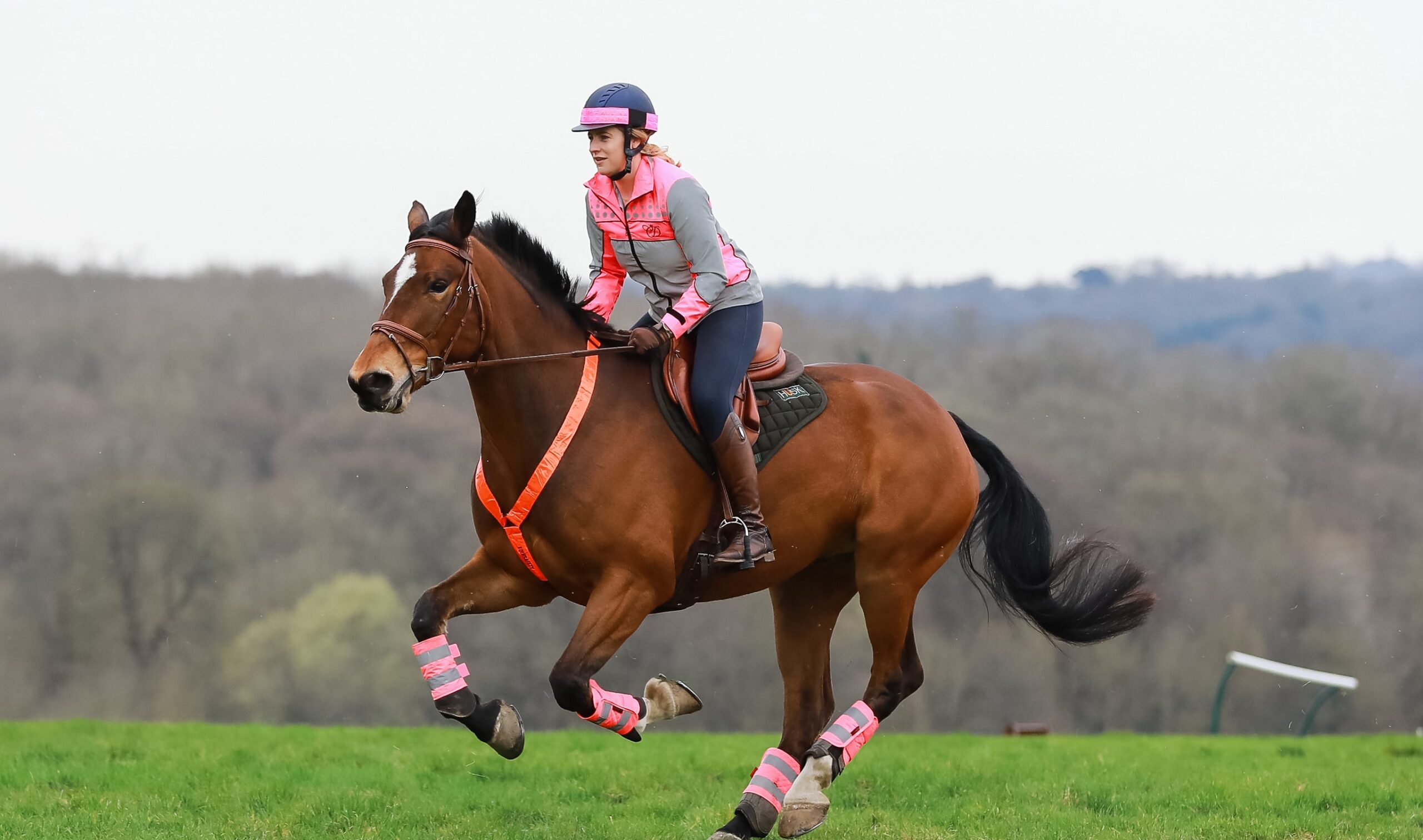 fitness-programme-for-event-horses-your-horse