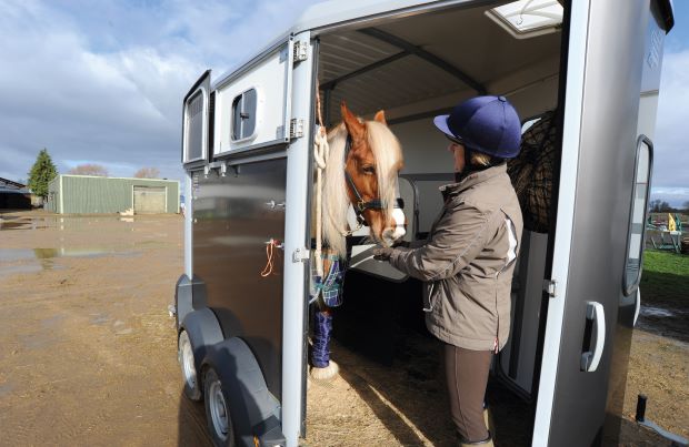 how long can horse travel in trailer
