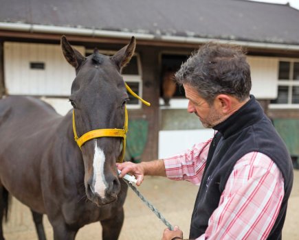 Resistance to horse wormer is growing and a major threat to future welfare of horses