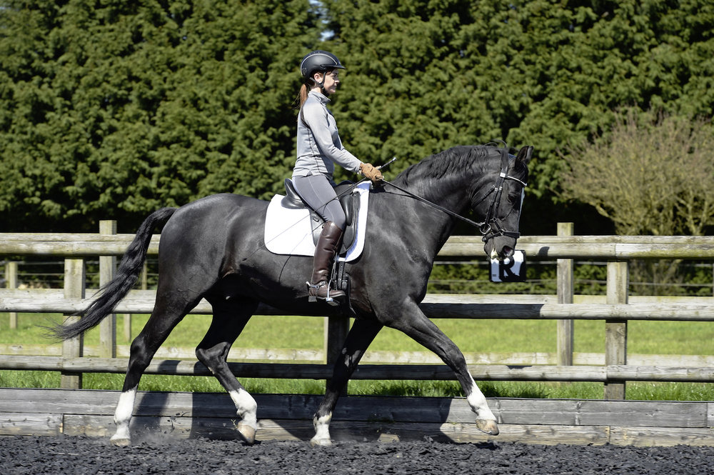 Buyers' Guide to Girths Your Horse