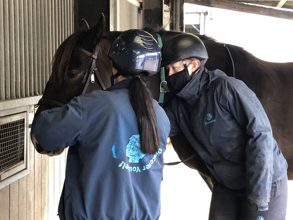 'An Anchor in the Midst of the Storm': Rescue Horses Help Young People ...