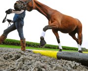 Even the simplest of groundwork exercises will have an effect on a horse and it pays to incorporate in-hand polework into your weekly routine