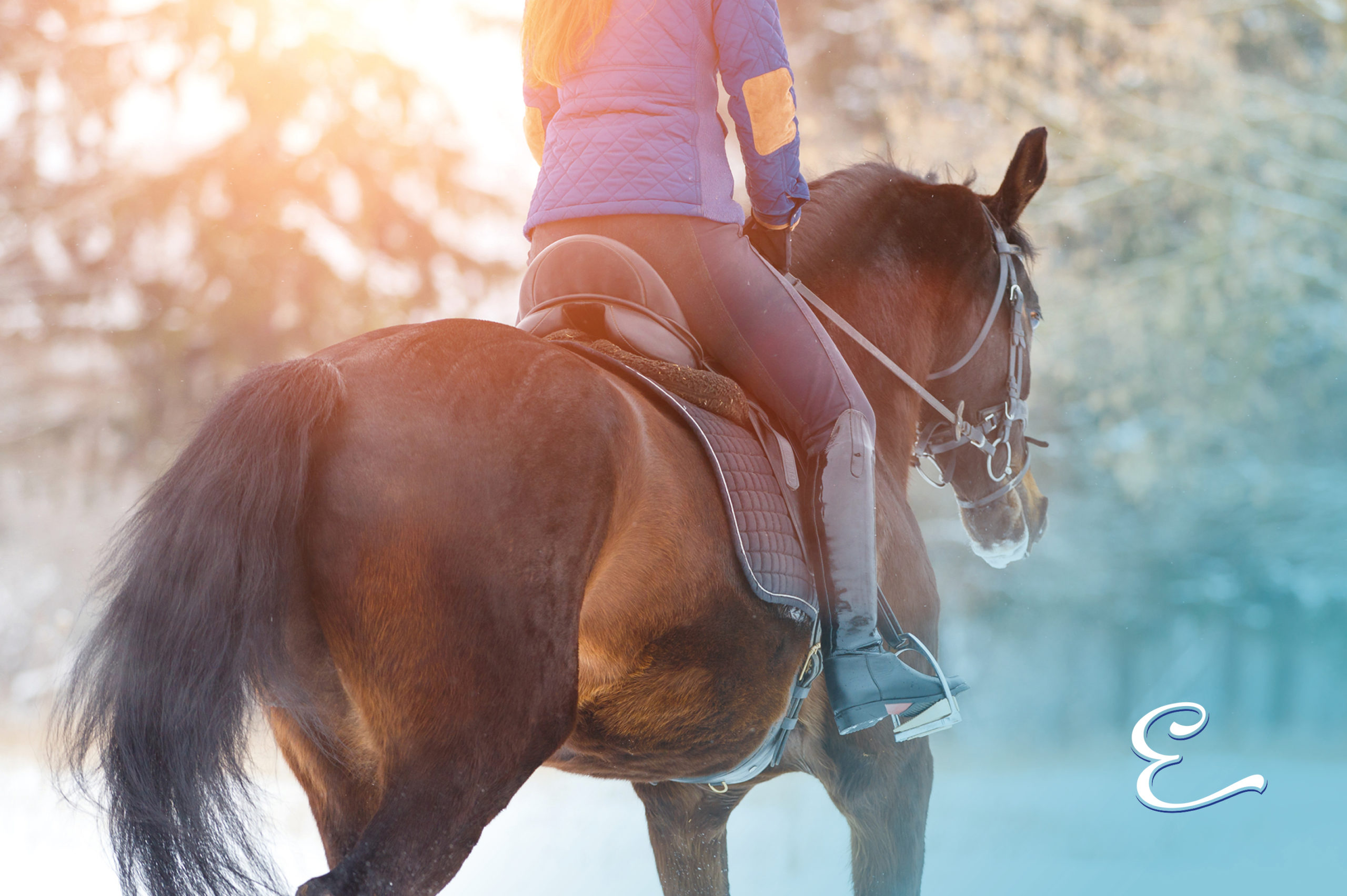 Personalised Equine Insurance from The Insurance Emporium *Promotion