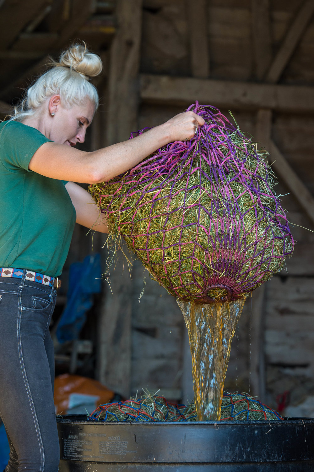 Feeding Advice for the Laminitisprone, From Baileys Your Horse