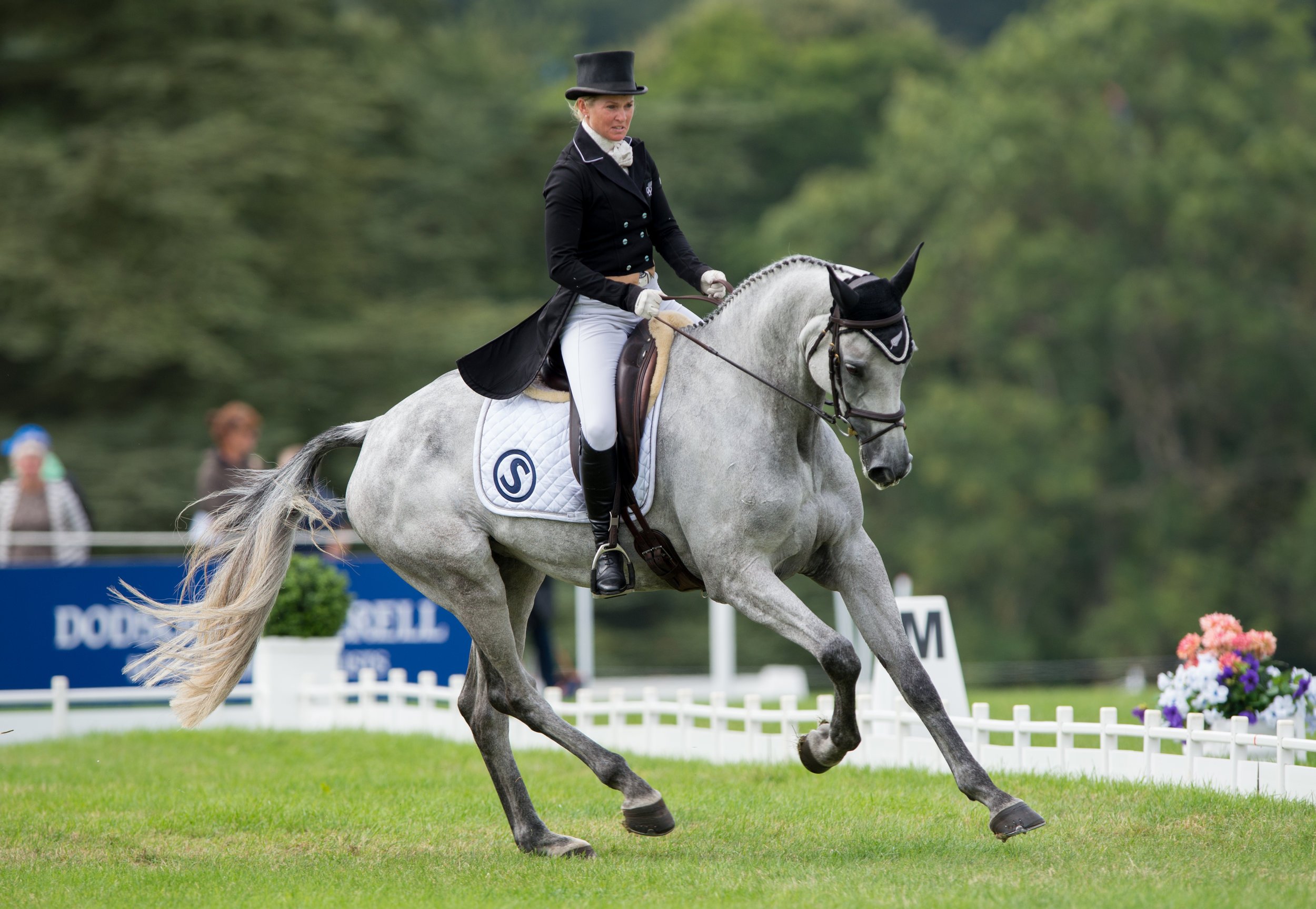 Blenheim offers free tickets for BHS and British Riding Clubs members ...