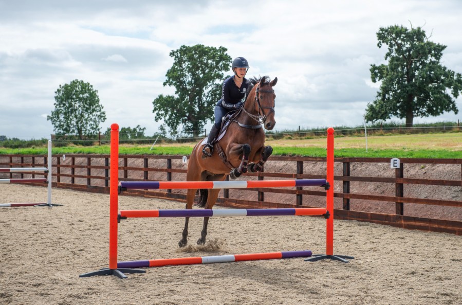 Pictured is a bay horse and rider clearing a vertical showjump, which Piggy March recommends making the final fence of your warm-up routine