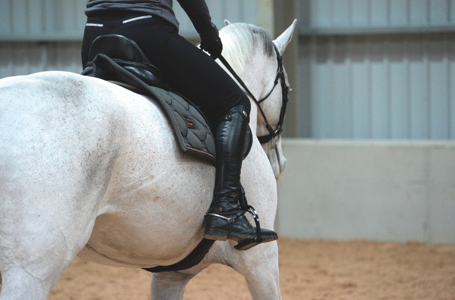 Pictured is a close up of a grey horse being schooled; riders legs need to move less on a lazy horse so that when they do move the horse listens