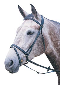 Pictured is the Wintec flash bridle, which is a leather-look bridle and essential item of horse tack