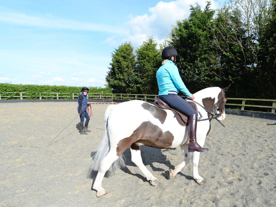 No stirrups November: riding without stirrups does wonders for rider position and security in the saddle