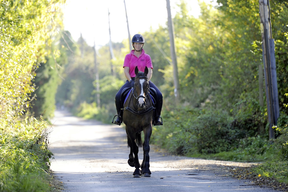 Introducing Hacking to an Exracehorse Your Horse