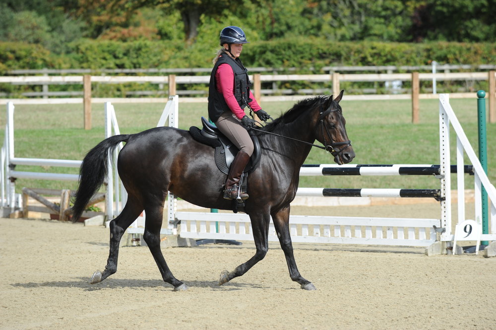 How to Warm Up a Hot Horse and Turn Down the Tension Your Horse