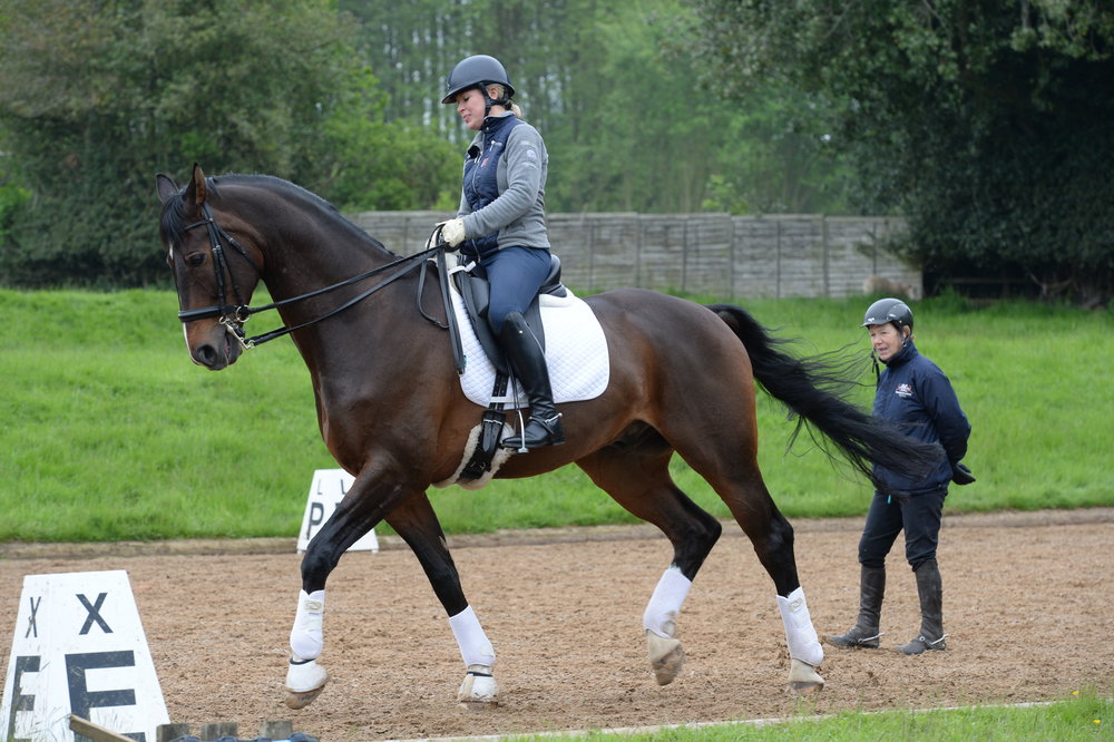 How to Get a Job Working With Horses Your Horse