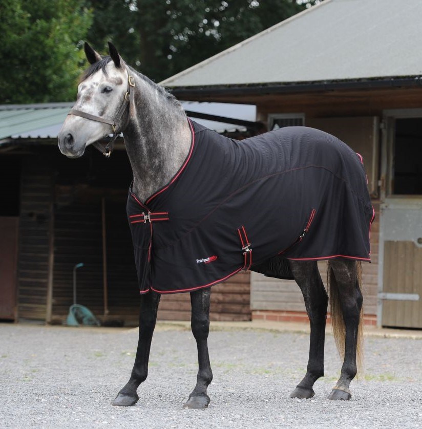 Therapy Rug Therapy horse rugs tried and tested to find which really work - Your Horse