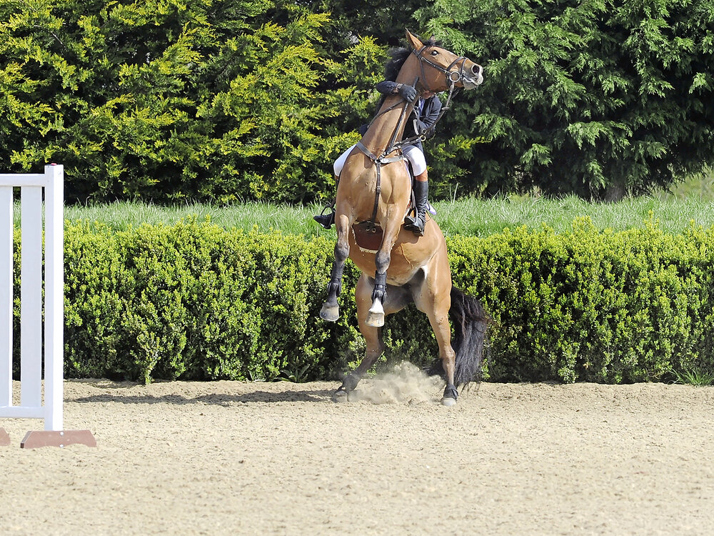 What is ‘trigger stacking’? Your Horse