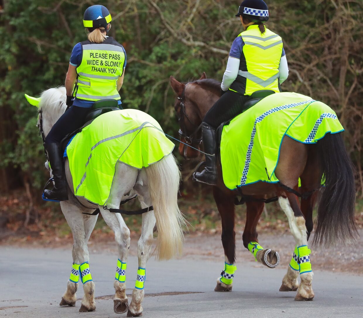 Two horses die and riders seriously injured after road collision - Your ...