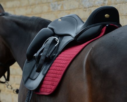 Regular saddle fit checks are essential