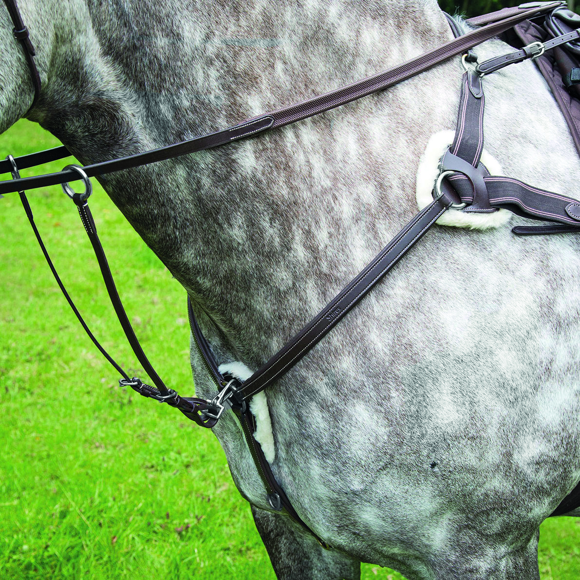 Salisbury Five Point Breastplate