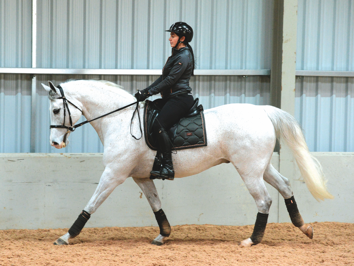 4 exercises to turn a lazy horse into an active horse Your Horse