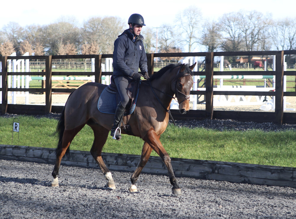 Transform your horse’s way of going with four exercises using straight lines