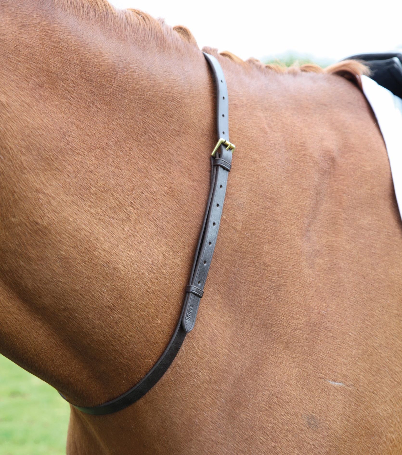 Leather Neck Straps for Horse Riding Full Black 