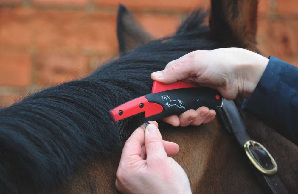 Seven humane mane thinners put to the test Your Horse
