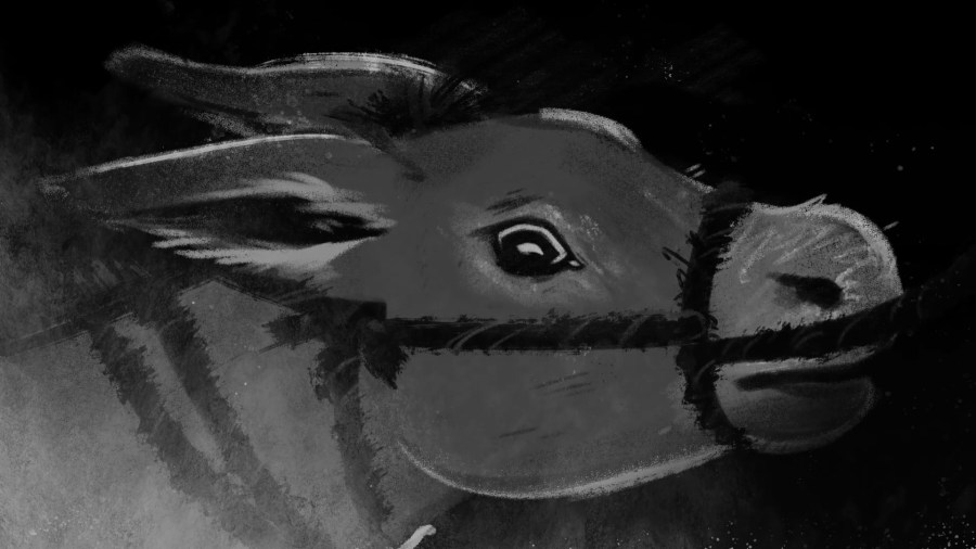 Their suffering cannot be understated': Donkey most trafficked animal in the world - Your Horse Their suffering cannot be understated': Donkey most trafficked animal in the world - Your Horse