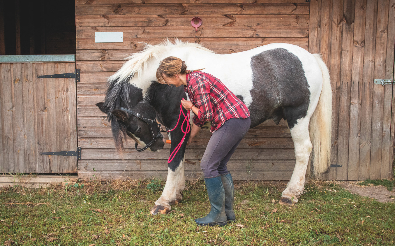 Two easy ways to get your horse to stretch before you start riding