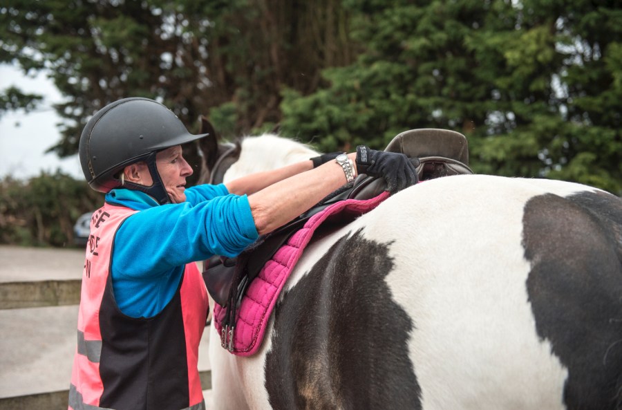 Pictured is a rider putting a saddle on to a coloured cob