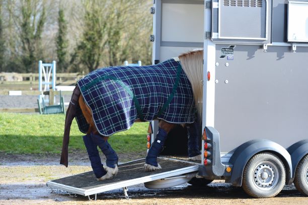 Tail Guard 6 tail guards to prevent your horse rubbing his tail when travelling ...