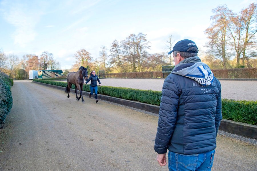 Pictured is a horse being trotted up to see if it is lame