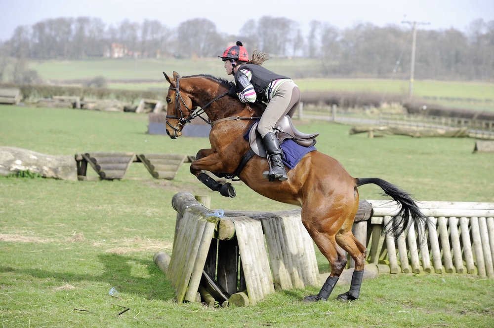 Cross country horse riding deals