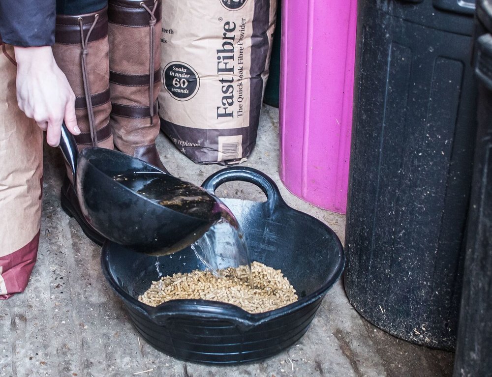 Top tips for feeding a good doer in the spring Your Horse