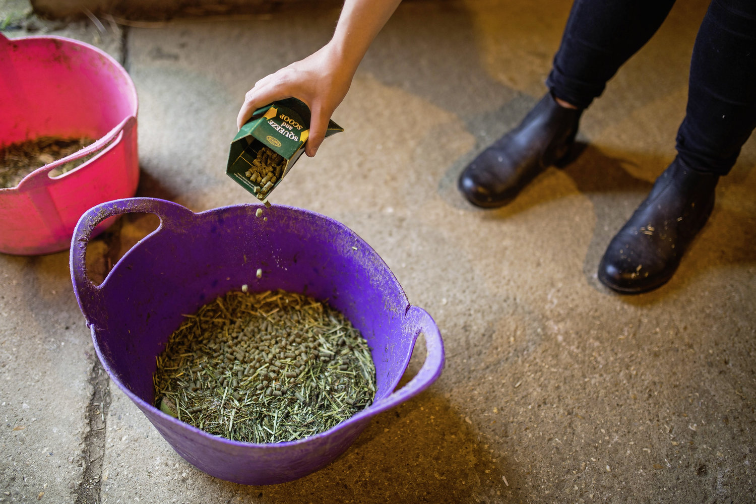 Equus Balancer Balancers: When Do You Need Them? - Your Horse